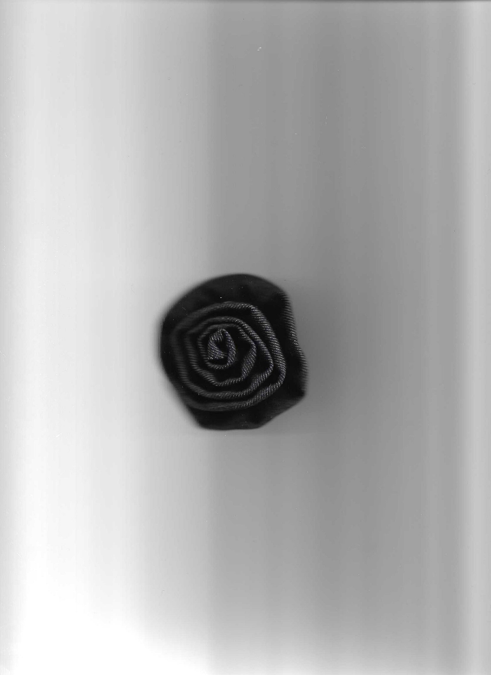 Denim Rose Snap